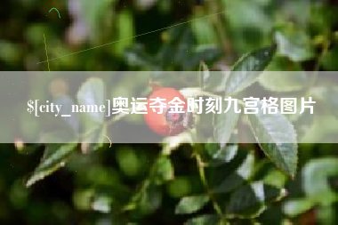 邵阳奥运夺金时刻九宫格图片