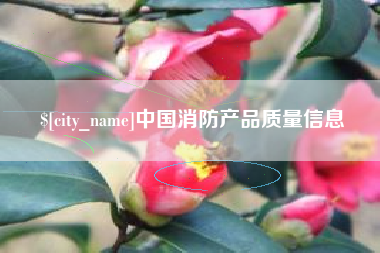 邵阳中国消防产品质量信息