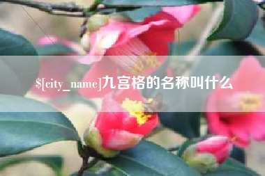邵阳九宫格的名称叫什么
