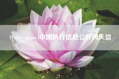 邵阳中国执行信息公开网失信