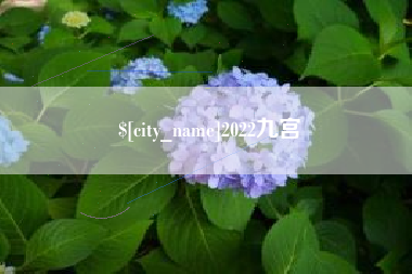 邵阳2022九宫