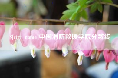 邵阳中国消防救援学院分数线