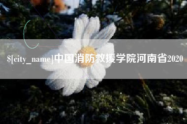 邵阳中国消防救援学院河南省2020
